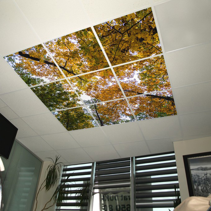 фальш окно на потолок с УФ-печатью на стекле